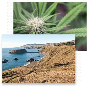 Webb Realty Home Image