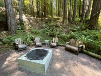 16115 Bittner Rd, Occidental