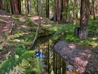 16115 Bittner Rd, Occidental