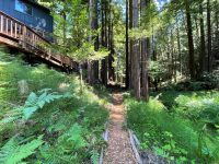 16115 Bittner Rd, Occidental