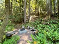 16115 Bittner Rd, Occidental