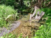 16115 Bittner Rd, Occidental