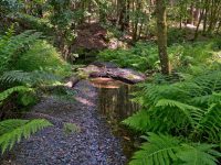 16115 Bittner Rd, Occidental