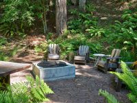 16115 Bittner Rd, Occidental