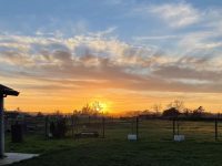 4499 Hargrave Avenue, Santa Rosa