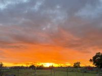 4499 Hargrave Avenue, Santa Rosa