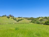1645 Crane Canyon Rd, Santa Rosa