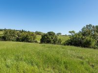 1645 Crane Canyon Rd, Santa Rosa