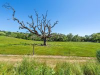 1645 Crane Canyon Rd, Santa Rosa