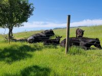 1645 Crane Canyon Rd, Santa Rosa