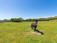 1645 Crane Canyon Rd, Santa Rosa