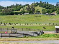 1645 Crane Canyon Rd, Santa Rosa