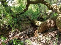 1645 Crane Canyon Rd, Santa Rosa