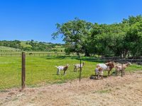 1645 Crane Canyon Rd, Santa Rosa