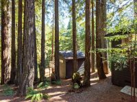 16220 Bittner Road, Occidental