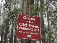 17075 Fitzpatrick Lane, Occidental