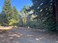 18000 Willow Creek Road, Occidental