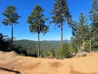 18000 Willow Creek Road, Occidental