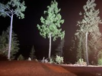 18000 Willow Creek Road, Occidental