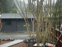 20161 Willow Rd, Monte Rio