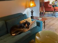 20161 Willow Rd, Monte Rio