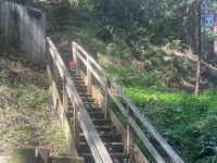 11926 Laurel Ave, Forestville