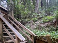 11926 Laurel Ave, Forestville