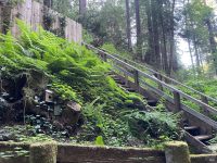 11926 Laurel Ave, Forestville