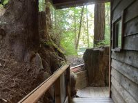 11926 Laurel Ave, Forestville