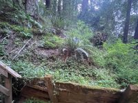 11926 Laurel Ave, Forestville