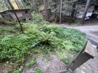 11926 Laurel Ave, Forestville